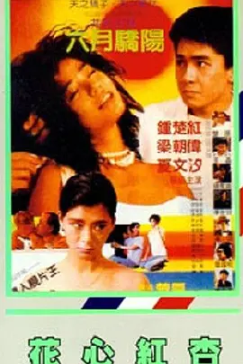 国产精品国产三级国产在线观看